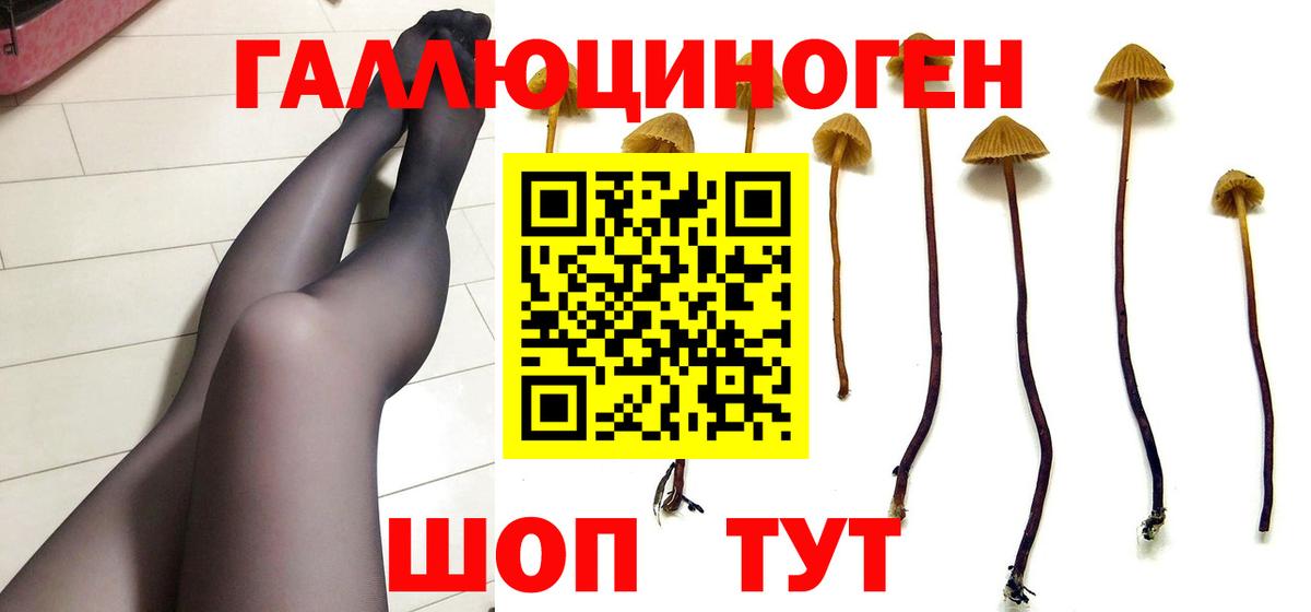 Галлюциногенные грибы прущие грибы  Псилоцибиновые грибы Cubensis  Вход с VPN  где можно купить   Кунгур 